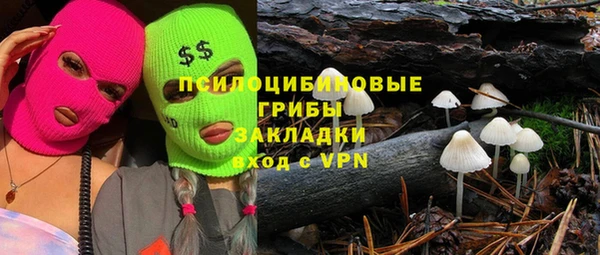 PSILOCYBIN Баксан