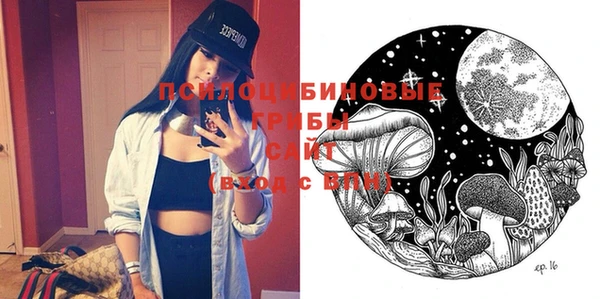 PSILOCYBIN Баксан