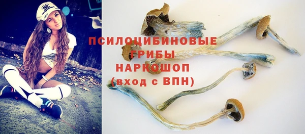 ECSTASY Балахна