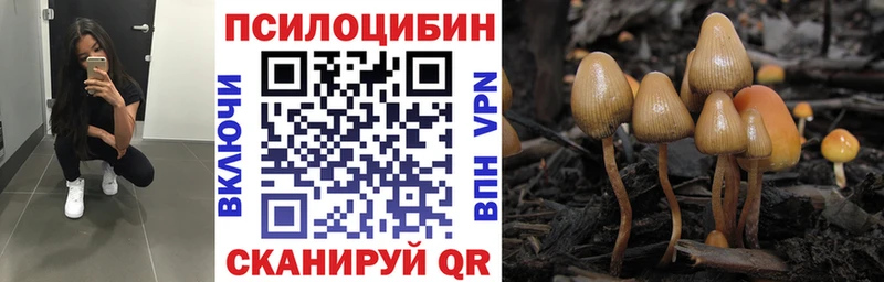 наркотики  Торжок  kraken зеркало  Галлюциногенные грибы MAGIC MUSHROOMS 
