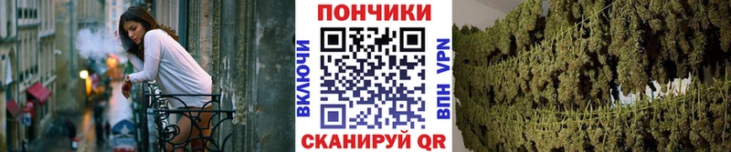 Бошки марихуана Amnesia  blacksprut ССЫЛКА  Торжок 